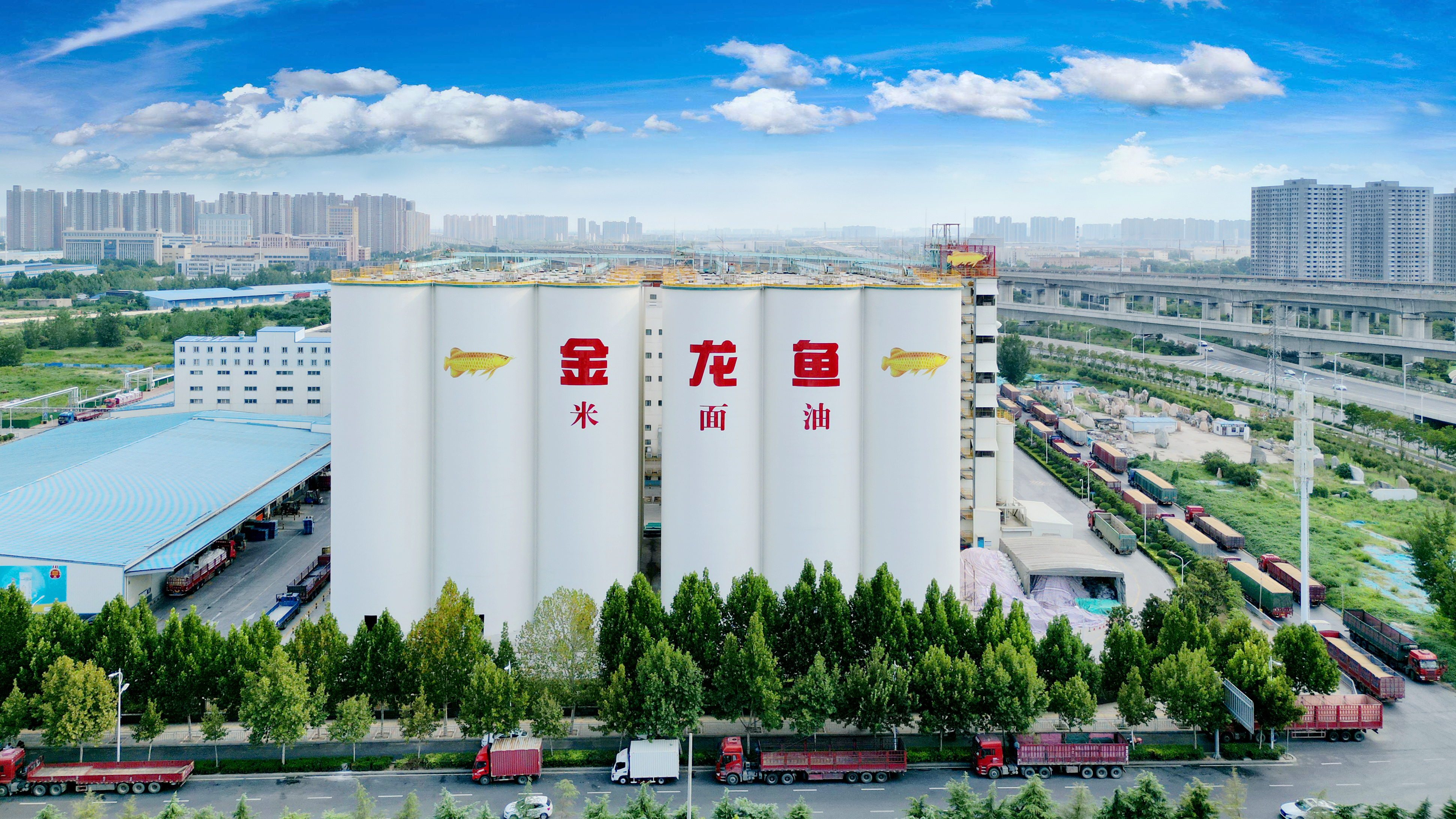 蟬聯中國食品行業第一！益海嘉里金龍魚再次入選標普全球《可持續發展年鑒》